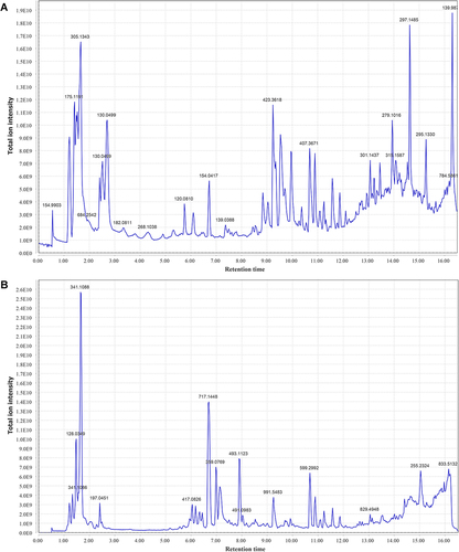 Figure 1 TICs of PS by UHPLC-MS/MS. (A) TIC of PS in positive ion mode. (B) TIC of PS in negative ion mode.