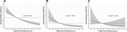 Figure 3 The relationship between thigh circumference and mortality of interest. The association of thigh circumference with all-cause mortality (A), cardiovascular mortality (B) and cerebrovascular mortality (C) were shown after controlling for age, gender, body mass index, waist circumference, moderate activity, total cholesterol, anti-diabetic drugs, estimated glomerular filtration rate, smoking status, race, baseline cancer, diabetes, hypertension, and cardiovascular diseases. The solid lines represented the hazard ratios of thigh circumference and the shadowed area represented the corresponding 95% confidence intervals.