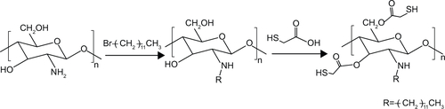 Figure S1 TACS synthesis.Abbreviation: TACS, thiolated N-alkylated chitosan.