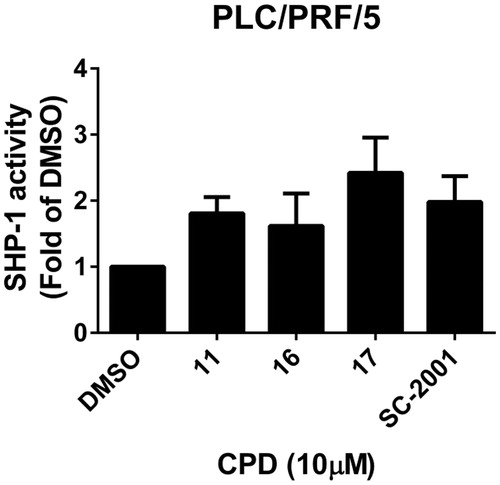 Figure 3. Effects of compounds on SHP-1 activity. PLC5 cells were exposed to cpd 11, 16, 17, and SC-2001 at 10 μM for 24 h and cell lysates were assayed by SHP-1 phosphatase activity kit.