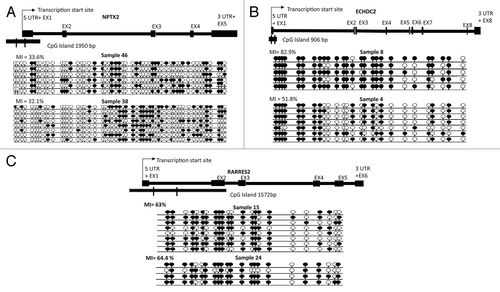 Figure 4. Bisulfite sequencing analysis in primary ES samples and schematics representing sequenced region for three genes (NPTX2, ECHDC2, and RARRES2). (A) Single clone bisulfite sequencing analysis of NPTX2 promoter region CpG island shows methylation index of 33.6% in ES sample 46 and 32.1% in ES sample 38. (B) Single clone and bisulfite sequencing analysis of ECHDC2 CpG island region shows methylation index of 82.9% and 51.8% in ES samples 8 and 4 respectively. (C) Sequencing analysis of RARRES2 CpG island region shows methylation index of 63% and 64.4% in ES samples 15 and 24 respectively. Individual alleles are represented by a horizontal line, black and white circles indicate methylated and unmethylated CpG dinucleotides respectively. The percentage of methylation indexes were calculated as follows: (number of methylated CpG dinucleotide/number of CpG dinucleotide sequenced) x 100.