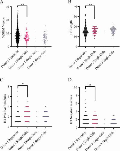 Figure 3. Comparison of heavy chain features from single cells, collapsed to unique sequences, to 5887 unique sequences recovered in the repertoire. Significance between Donor 1 repertoire and Donor 1 single cells calculated by Kolmogorov Smirnov test. * = p < .05, ** = p < .005, ns = not significant. Comparison of: (a) nucleotide SHM, (b) heavy chain CDR3 length, (c) heavy chain positive residues per CDR3 (lysine and arginine), (d) heavy chain negative residues per CDR3 (glutamate and aspartate)
