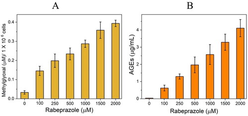 Figure 4. Quantification of MGO and AGEs in T. cruzi epimastigotes treated with Rbz. 1X106 epimastigotes were incubated with increasing concentrations of Rbz for 4 h at 28 °C. (A) Concentration of MGO/million cells at increasing concentrations of Rbz. (B) Concentration of AGEs in µg/mL per million cells at increasing concentrations of Rbz. Both metabolites were determined from protein extracts of epimastigotes incubated with different concentrations of Rbz. Results represent the average of four independent biological experiments.