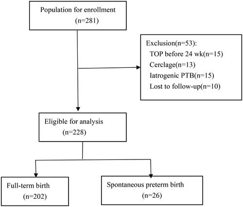 Figure 2. Flowchart of study population. TOP, termination of pregnancy; PTB, preterm birth.