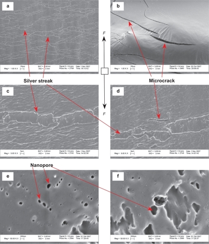 Figure 7 Microscopic fracture appearances of PLGA after tensile tests. Original magnifications are 1 kX for (a,b), 5 kX for (c,d) and 50 kX for (e,f). Magnification bars are 10 μm for (a,b), 2 μm for (c,d) and 200 nm for (e,f). F shows the direction of the load.