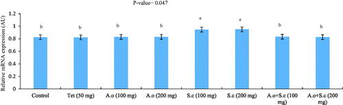 Figure 1. Effect of A. oryzae and S. cerevisiae dietary inclusion on the relative mRNA expression of SGLT1 in the intestine of laying Japanese quails (n = 32). Tet, tetracyclin; A.o, A. oryzae; S.c, S. cerevisiae. a–bHistograms with no common superscript differ significantly (p <.05).