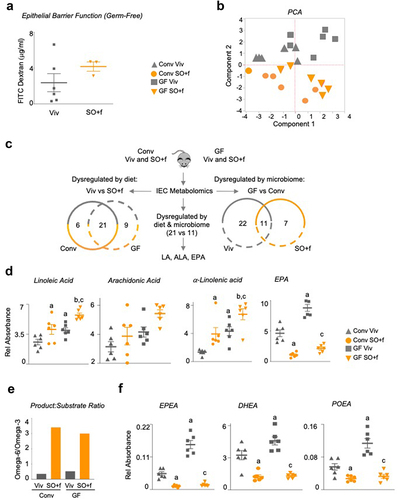 Figure 7. A diet high in LA decreases barrier function and alters the metabolome in the intestines of conventionally raised and germ-free mice.