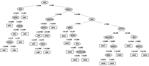 Figure 6. The decision tree for the M5Base model built for time point prediction, ending with 23 leaves (for each a linear model named LM1-LM23 has been calculated).