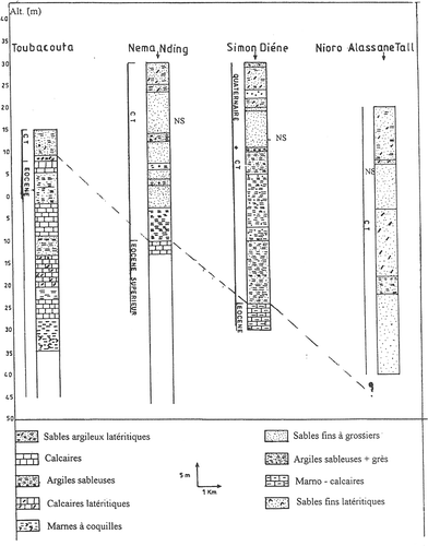 Fig. 2 Geological context of the Nema catchment (Ngom Citation2000).