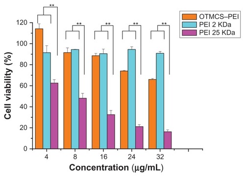 Figure 7 Cytotoxicity of OTMCS–PEI at various concentrations in HeLa cell lines using the MTT assay.Notes: The data were expressed as mean values (±standard deviations, n = 3); **P < 0.01.Abbreviations: OTMCS–PEI, amphiphilic chitosan cross-linked with low-molecular weight polyethylenimine; MTT, 3-(4,5-dimethyl-thiazol-2-yl)-2,5-diphenyl tetrazolium bromide.