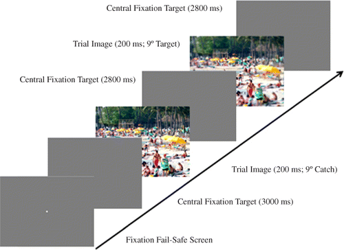 Figure 7. Trial schematic of Experiment 2, showing one pair of target/catch images for the 9° eccentricity. The participant was required to fixate the centre of the screen to initiate the trial, followed by a central fixation screen in which the participant had to maintain gaze at the centre of the screen in order for the following presentation to be considered valid.