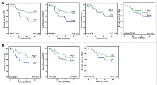 Figure 6. Kaplan-Meier analyzed overall survival (OS) rates. A. SMAD1/5/9, TGFBRII, SMAD4, and p-SMAD1/5/9 as prognostic factors in cancer tissues. B. SMAD2/3 and TGFBRI, and SMAD4 as prognostic factors in normal tissues.