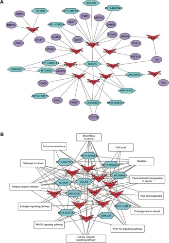 Figure 4 Network diagram.