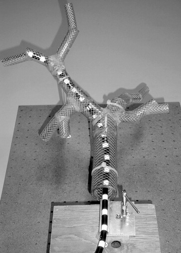 Figure 21 Experimental setup showing the Olympus GIF-100 with reflective markers inserted into the lung phantom.
