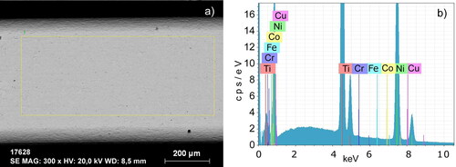 Figure 3. Representative SEM (a) micrograph (×2000 magn.) and EDS spectra (b) of the surface of Bio-active™ archwires.