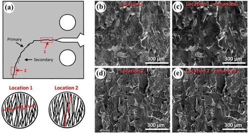 Figure 12. (a) Schematic of crack growth behaviour through columnar grains at location 1 and 2 of L-PBF 17-4PH, (b, c) Fracture surface at location 1, (d, e) Fracture surface at location 2 [Citation169].