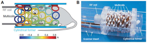 Figure 6 Multicoil active shim assembly for mouse imaging/spectroscropy.