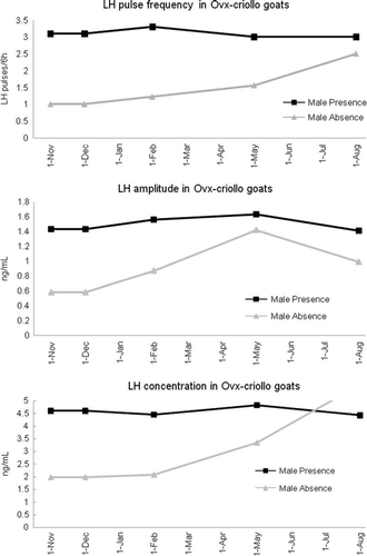 Figure 1.  Effect of presence of a sexually active male buck on pulse frequency, amplitude and concentration of luteinising hormone (LH) in ovariectomised (OVX) Criollo goats.
