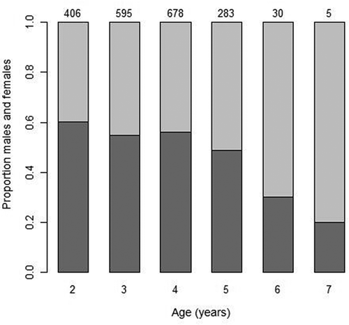 FIGURE 3. Proportions of male (light gray) and female (dark gray) Black Sea Bass at each age. Age was determined for a total of 1,997 fish, which were identified as either male (n = 901) or female (n = 1,096). Ages were estimated from annulus counts on scales. The number above each column is the sample size for the corresponding age.