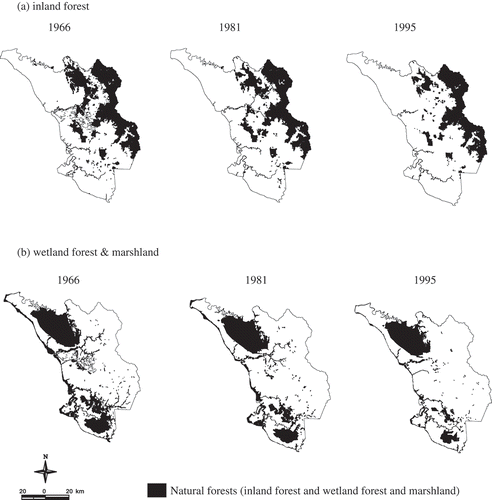Figure 2. (a–b) Natural forest maps (inland forest and wetland forest and marshland) of the study area in 1966, 1981 and 1995.