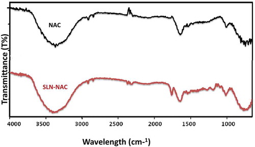 Figure 4. FTIR spectra of NAC and SLN-NAC.