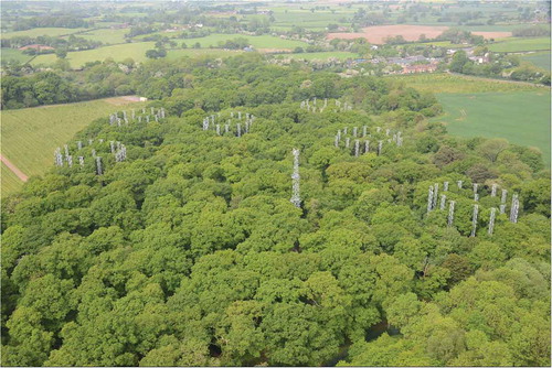 Figure 6. Free-Air CO2 Enrichment experiment (FACE) on mature oak forest (160-year-old Quercus robur). There are six 30 m-wide rings of fumigation-masts, three control and three elevated CO2. In the centre of the picture is a meteorological and CO2 observation tower. Birmingham Institute of Forest Research (BIFOR), University of Birmingham. Photographic credit: Norbury Estate.