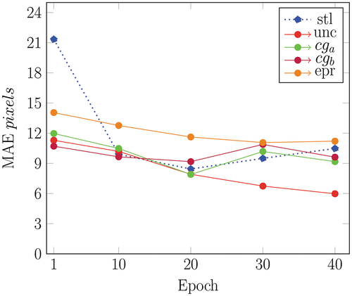 Figure 7. The blue dotted line is the performance of the stl model, which is used as a benchmark. What can be seen is that the only stably training algorithm is unc, in red, which also produces the best accuracy. All other models begin to overfit after 20 epochs.