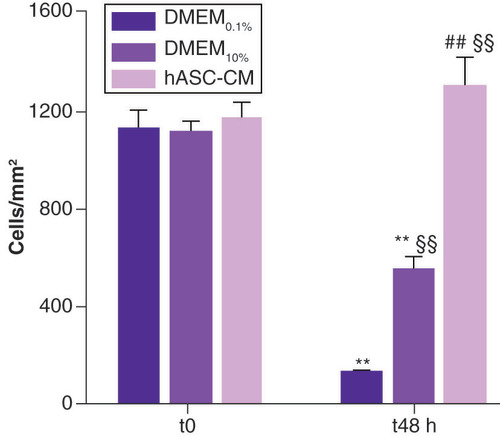 Figure 3. Evaluation of lymphatic endothelial cell density.Cells, expressed as number of cells/mm2, are counted at t0, baseline condition, and t48. For DMEM0.1% and DMEM10%, 20 fields/each were evaluated; for hASC-CM, 48 fields/each were analyzed.**Data statistically significant, p < 0.01, paired t-test t48 vs proper t0 n = 5 for DMEM0.1% and DMEM10%, n = 12 for hASC-CM. §§Data statistically significant, p < 0.01, unpaired t-test vs DMEM0.1% t48 h, n = 17. ##Data statistically significant, p < 0.01, unpaired t-test vs DMEM10% t48 h n = 17.DMEM: Dulbecco’s modified Eagle medium; hASC-CM: Human adipose-derived stem cell conditioned medium.