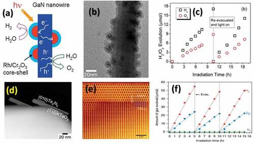 Figure 18. (a) Schematic representation of water splitting on Rh/Cr2O3 core-shell nanostructures decorated GaN nanowires (b) Low magnification TEM image of Rh/Cr2O3 /GaN composites illustrated uniform distribution of the Rh/Cr2O3 nanoparticles on GaN nanowire surfaces. (c) Plot of H2 and O2 evolution as function of time for Rh/Cr2O3 /GaN composite under a 300 W xenon lamp irradiation (Reproduced with permission from [Citation265]) (d) ADF-STEM images of Ta3N5/KTaO3 composite illustrated the growth direction of the Ta3N (e) Colorized and magnified ADF-STEM images of a Ta3N5 nanorod in Ta3N5/KTaO3 (f) Plot of stoichiometric H2 and O2 evolution for Rh/Cr2O3-modified Ta3N5/KTaO3 assisted water splitting under visible light (λ ≥ 420 nm) (Reproduced with permission from [Citation268]).