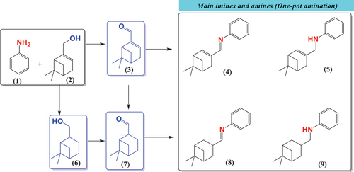 Figure 17. The scheme for one-pot amination of myrtenol (2) with aniline (1). Notation: 3. Myrtenal, 4. Imine I, 5. Amine I, 6. Myrtanol, 7. Myrtanal, 8. Imine II and 9. Amine II.