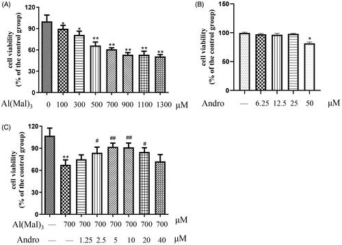 Figure 1. Andro ameliorated Al(mal)3-induced toxicity in PC12 cells. Cells were treated with different concentrations of Al(mal)3 (100, 200, 400, 600, 800, 1200 and 1600 μM) for 24 h (A); Cells were treated with different concentrations of Andro (6.25, 12.5, 25, 50 μM) for 24 h (B); Cells were co-treated with 700 μM Al(mal)3 and different concentrations of Andro (1.25, 2.5, 5, 10, 20 and 40 μM) for 24 h (C). Cell viability was measured by MTT assay (n = 6) *p < 0.05, **p < 0.01 versus the control. #p < 0.05, ##p < 0.01 versus Al(mal)3 group was considered statistically significant differences.