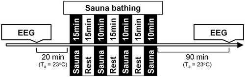 Figure 1. Schematic representation of the experimental protocol. Temperature in the sauna was 80–90 °C; the ambient temperature (Ta) during rest was 23 °C.