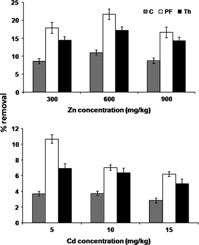 Figure 2.  Percentage (a) Zn and (b) Cd removal from soil by B. juncea in varied treatments at the 90th day of the experiment. Pf = P. fluorescens, Th = T. harzianum, C = control.