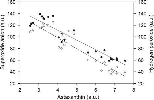 Fig. 8. Correlation between superoxide anion (•) or hydrogen peroxide (○) levels and accumulated intracellular astaxanthin in chlorophyll-rich cells during 96 h of exposure to 600 nM of paraquat. Both are linear regressions, represented by a solid line for the superoxide anion (R 2 = 0.94) and dash-dot line for hydrogen peroxide (R 2 = 0.89). a.u., arbitrary units.