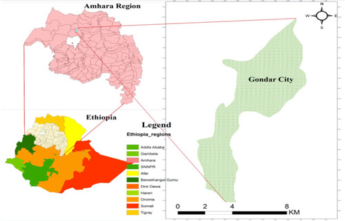 Figure 1 Map of the study area (Gondar city).