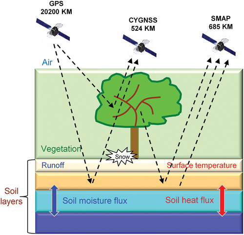 Figure 2. Schematic of emission and GNSS-R reflectivity from vegetation and soil. Atmosphere contribution is not included here.