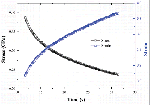 Figure 2. Stress-strain-time curve of the cuticle of a dung beetle foreleg femur.