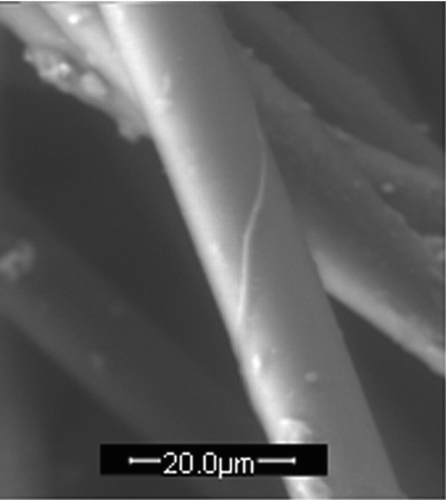 FIG. 2 ESEM image of uncoated fiber.
