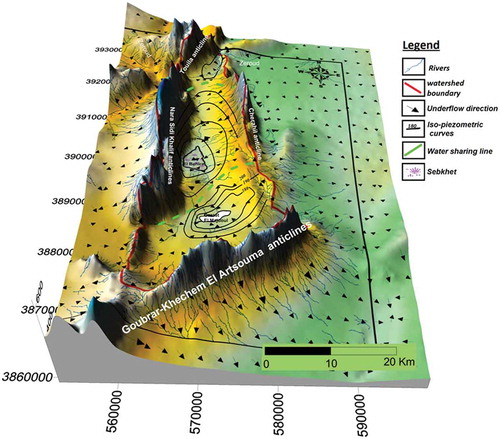 Figure 13. Digital elevation model and piezometric map of the Mio-Plio-Quaternary aquifers in Sebkhet El Behira–Garaat El Majdoul.