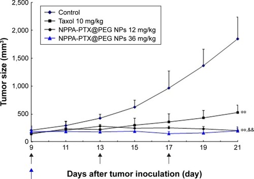 Figure 5 In vivo antitumor activity of NPPA-PTX@PEG NPs in MDA-MB-231 tumor-bearing nude mice.Notes: MDA-MB-231 cells were implanted in the nude mice on day 0, and the treatment was started on day 9 when the tumor volume reached ~100–200 mm3. The treatment involved the administration of 5% glucose solution as the control, Taxol (10 mg/kg), and NPPA-PTX@PEG NPs (12 mg/kg, equimolar to 10 mg/kg PTX) on days 9, 13, and 17, or a single administration of NPPA-PTX@PEG NPs (36 mg/kg, equimolar to 30 mg/kg PTX) on day 9. Data are presented as the mean ± SD per group measured on the indicated days after treatment (n=9). **P<0.01 compared to the control group; &&P<0.01 compared to the Taxol treatment group.Abbreviations: NPPA, 3-(2-Nitrophenyl) propionic acid; NPPA-PTX@PEG NPs, NPPA-PTX nanoparticles prepared by NPPA-PTX and DSPE-PEG (NPPA-PTX:DSPE-PEG =1:0.1, w/w); PTX, paclitaxel.