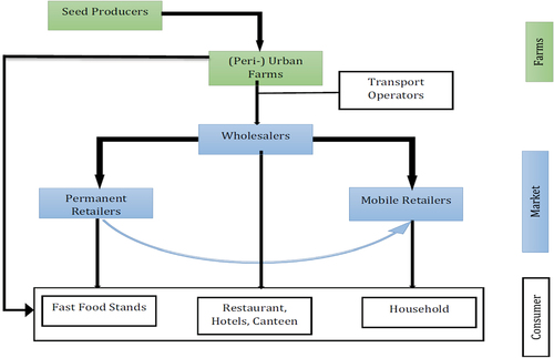 Figure 2. Flow chart of the vegetable supply chain in urban and peri-urban areas.