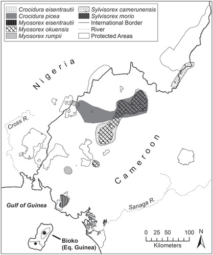 FIGURE 2. Distribution of montane endemic rodents (Soricidae) in the BFH. Distribution data from IUCN (Citation2013). Protected area boundaries from IUCN and UNEP (Citation2010).