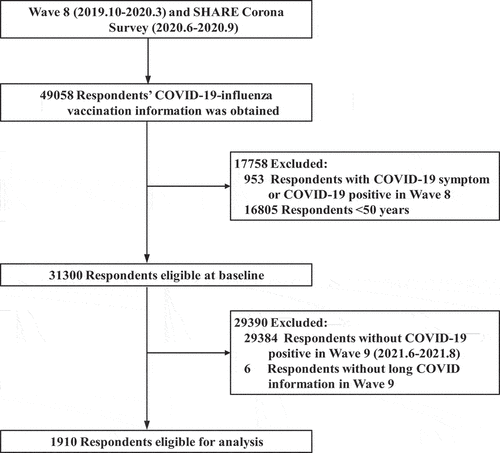 Figure 1. Flow chart of participants’ selection. SHARE, survey of health and retirement in Europe; COVID-19, corona virus disease 2019.