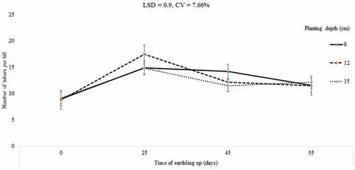 Figure 7. Interaction effects of depth of planting and time of earthing-up on total tuber number/hill of potato.