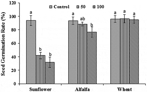 Figure 1. The effects of different fluorene concentrations in soil (Control, 50 and 100 mg kg−1) on the seed germination rates of wheat, alfalfa, and sunflower plants