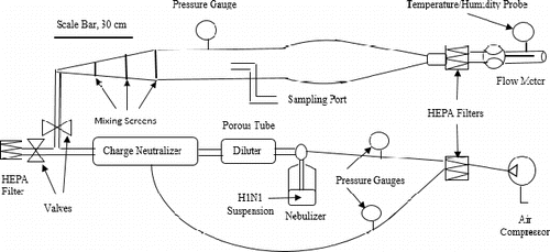 Figure 1. Schematic representation of experimental setup.