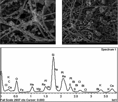 Figure 5. SEM and EDS of PM2.5.