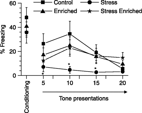 Figure 3 Effects of stress and enrichment on extinction of cued fear. The ordinate depicts percentage freezing obtained during first tone presentation (also depicted in Figure 2A) and four consecutive bins (1 bin = 5 tone presentations) while rats were in a context different from that for training. Stress alone reduced freezing to the tone during extinction trials. Two-way ANOVA with bins as repeated measures. n = 11 − 12 rats/group. *p < 0.05, planned comparison between stress and control rats without enrichment. Values are group means ± SEM.