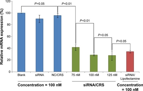 Figure 9 Gene-silencing efficiency of VEGF-siRNA/CRS on HeLa cells.