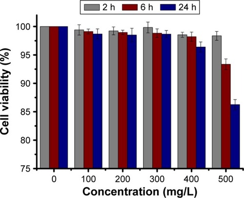 Figure 3 CCK-8 assay of SW1990 cell viability after incubation with different concentrations of A-MFS for 2, 6, and 24 hours.Note: With the increase in the concentration of A-MFS from 0 to 500 mg/L, the cell viability exceeded 86%.Abbreviations: A-MFS, Fe3O4@SiO2 modified with anti-mesothelin antibody; CCK-8, Cell Counting Kit-8.